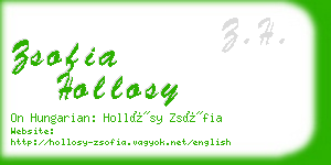 zsofia hollosy business card